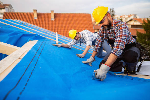Best Roof Gutter Cleaning  in Eustace, TX